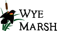 logo Friends of Wye Marsh Inc_