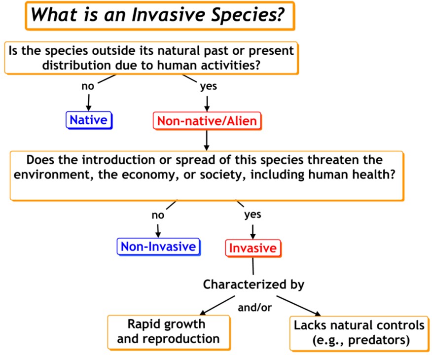 What is an Invasive Species Flow Chart
