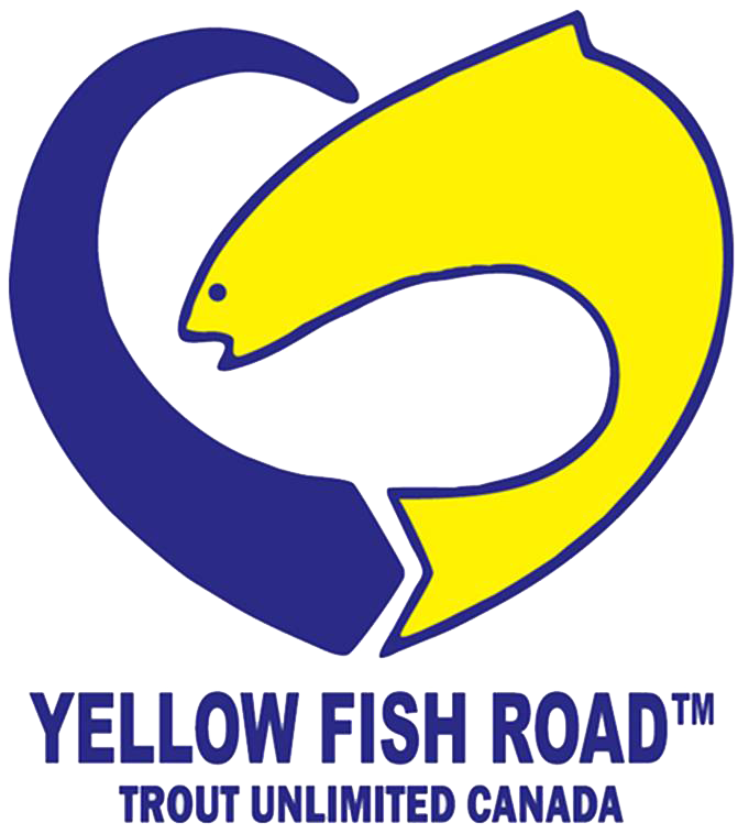 NEW Yellow Fish Road logo