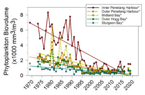 Phytoplankton Results 1969 to 2022 at Severn Sound Monitoring Stations
