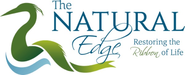 The Natural Edge Restoring the Ribbon of Life logo from Watersheds Canada