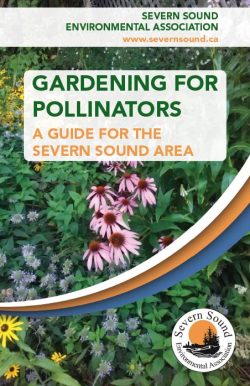 Gardening_For_Pollinators_2023_cover
